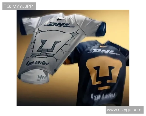 蓝十字与美洲狮对决前瞻分析及胜负预测详解